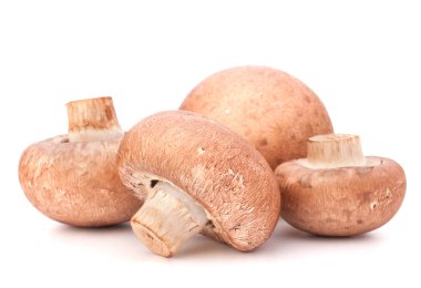kahverengi champignon mantar grup
