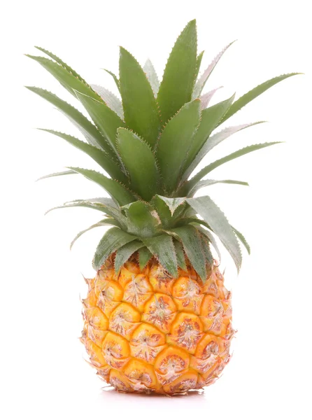 Pineapple tropical fruit or ananas — Stock Photo, Image