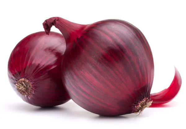 Red onion bulb — Stock Photo, Image