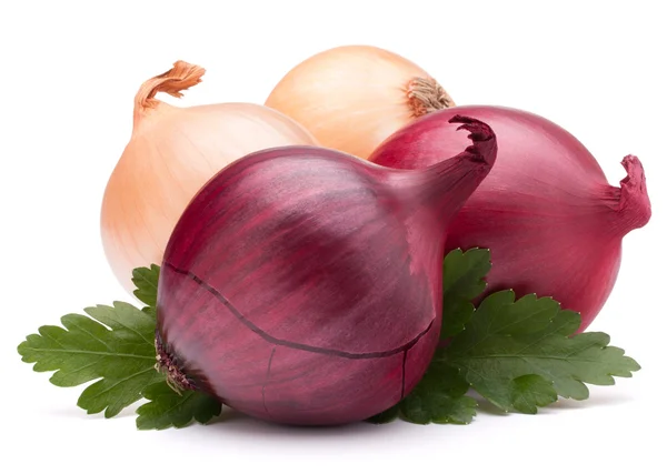 Onion vegetable bulb and parsley leaves still life — Stock Photo, Image