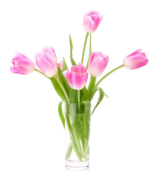 Pink tulips bouquet in vase isolated on white background — Stock Photo, Image