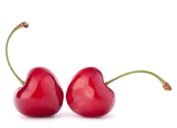 Två hjärtformade körsbär bär — Stockfoto