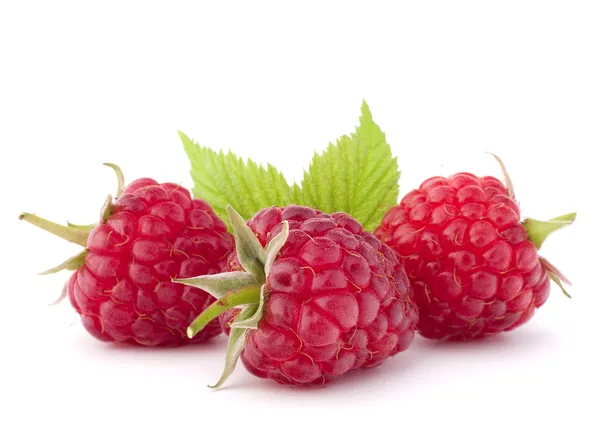 成熟莓 — 图库照片