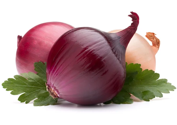 Onion vegetable bulb and parsley leaves still life — Stock Photo, Image