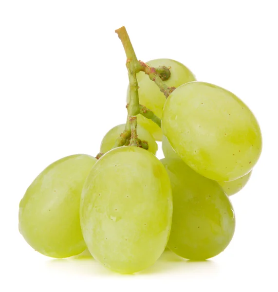 Пучок зеленої виноградний — стокове фото