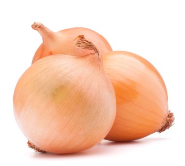 altın soğan sebze çiçek soğanı