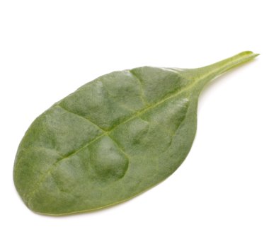 ıspanak sebze kesme