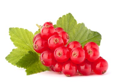 Kırmızı kuş üzümü ve yeşil yaprakları natürmort