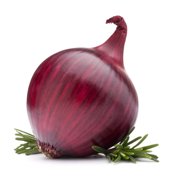 Red onion and rosemary leaves — Stock Photo, Image