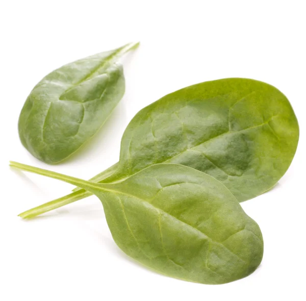Spinat-Gemüseausschnitt — Stockfoto