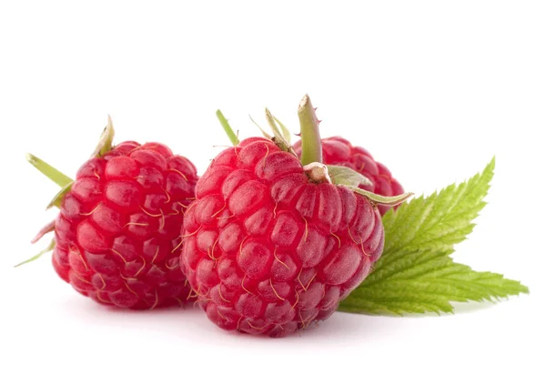 成熟莓 — 图库照片