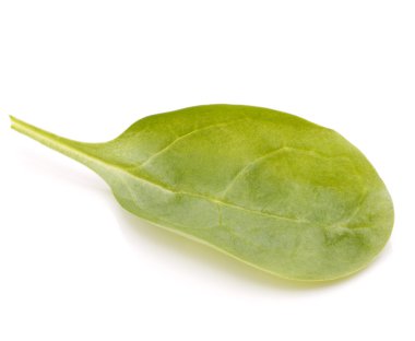 ıspanak sebze kesme