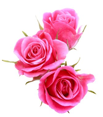 Beyaz arka plan kesme izole pembe Gül çiçek buketi