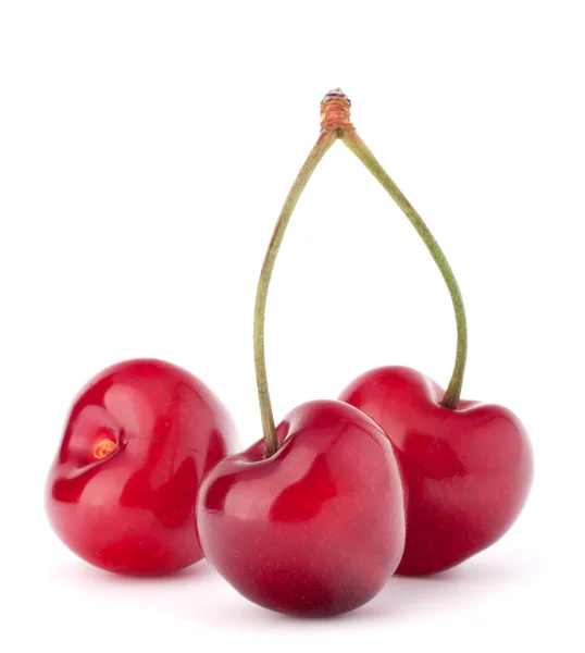 Baies cerises en forme de coeur — Photo