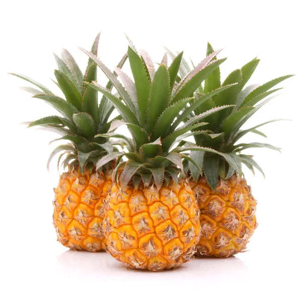 Frutas tropicales de piña o ananas — Foto de Stock