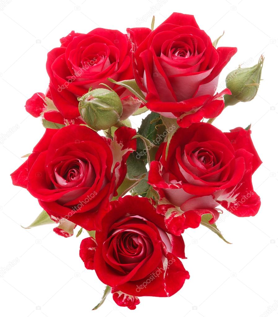 Red Rose Flower Bouquet Isolated On White Background Cutout Stock Red Rose Flower Bouquet Isolated On White Background Cutout Stock Photo