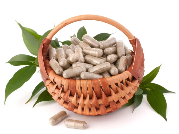 Herbal drug capsules in wicker basket — Stock Photo, Image