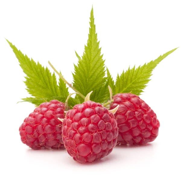 Sweet raspberry — Stock Photo, Image