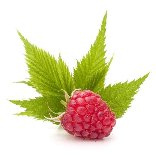 Sweet raspberry — Stock Photo, Image