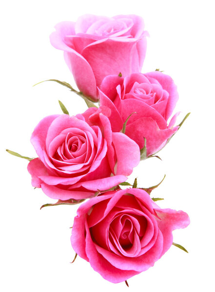 Розовый букет цветов
