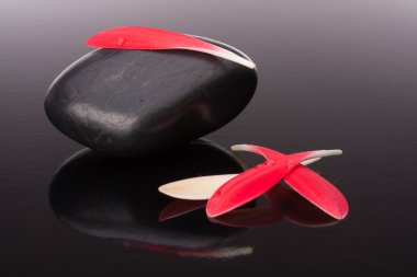 Spa taş ve çiçek petal natürmort. Sağlık kavramı.