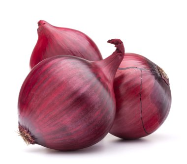 Kırmızı soğan ampul