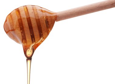 Beyaz arkasında izole bir ahşap bal ayı den damlayan bal