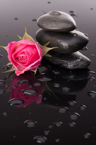 Spa stone and rose flowers still life. Healthcare concept. — Stock Photo, Image