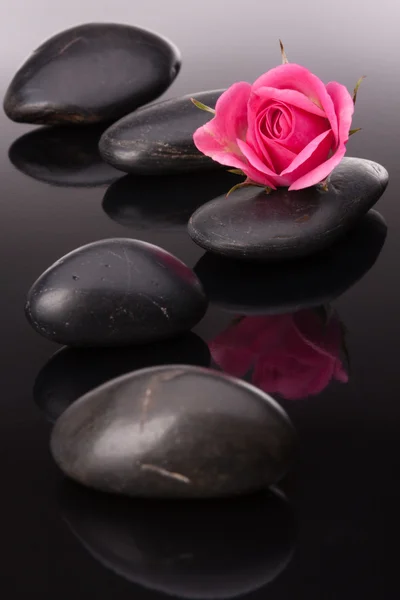 Balneario de piedra y flores de rosas naturaleza muerta. Concepto sanitario . —  Fotos de Stock