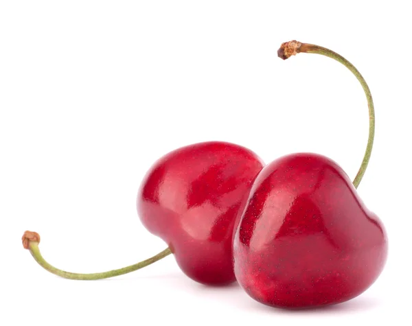 Två hjärtformade körsbär bär — Stockfoto