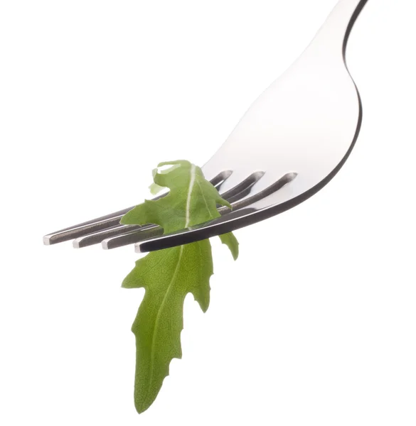 Čerstvá Rukola salát na větev izolovaných na bílém pozadí výřez. — Stock fotografie