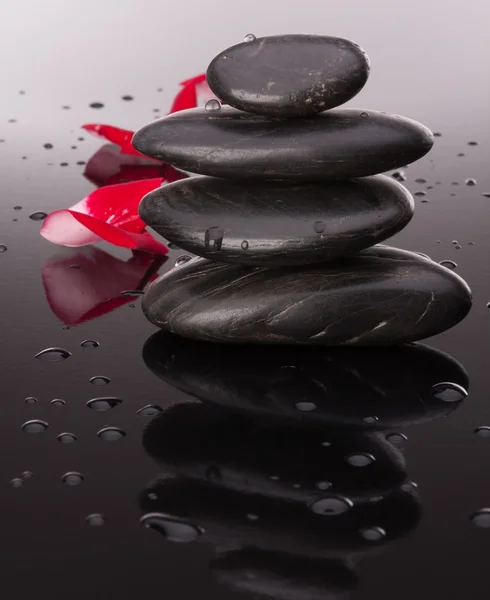 Piedra balneario y pétalo de flor bodegón. Concepto sanitario . — Foto de Stock