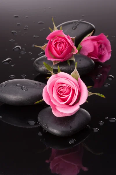 Spa stone and rose flowers still life. Healthcare concept. — Stock Photo, Image