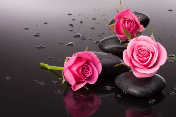 Balneario de piedra y flores de rosas naturaleza muerta. Concepto sanitario . — Foto de Stock