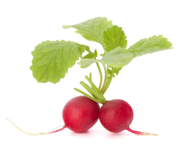 Small garden radish with leaves — Stock Photo, Image