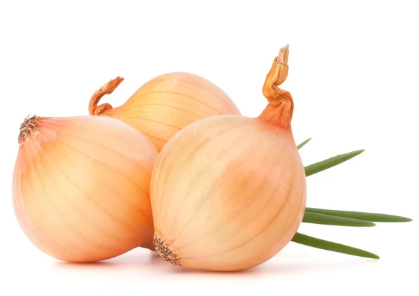 Onion vegetable — Stock Photo, Image