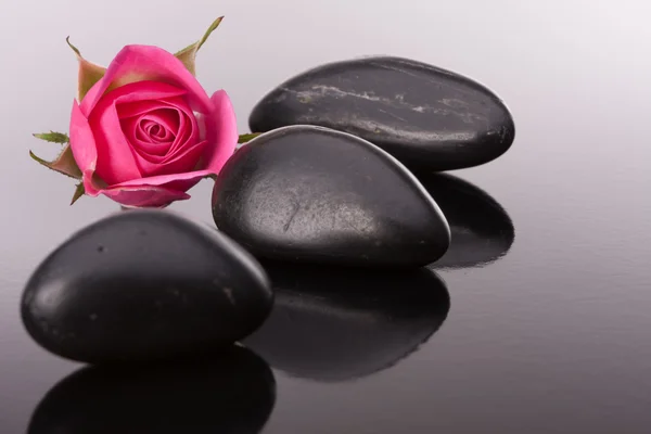 Balneario de piedra y flores de rosas naturaleza muerta. Concepto sanitario . —  Fotos de Stock