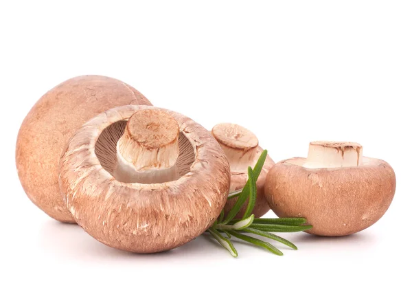 Kahverengi champignon mantar ve biberiye yaprakları — Stok fotoğraf