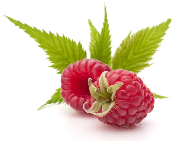 Sweet raspberry isolated on white background cutout — Stock Photo, Image