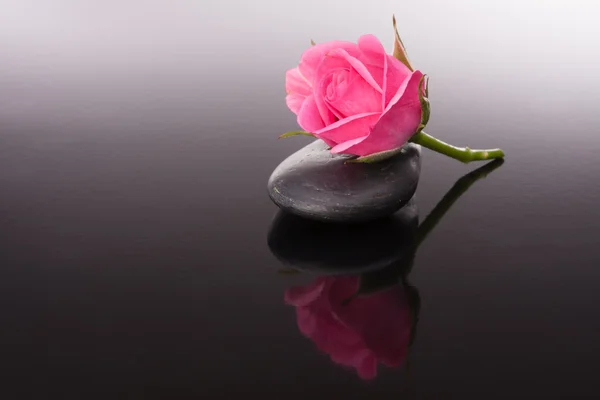 Pedra de spa e rosa flores ainda vida. Conceito de saúde . — Fotografia de Stock