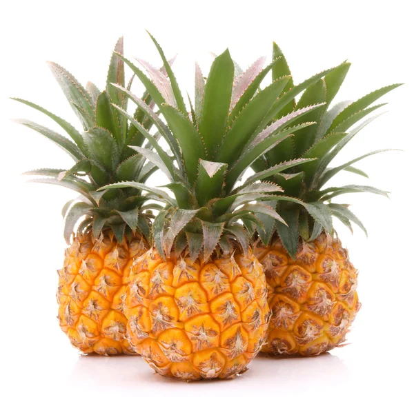 Pineapple tropical fruit or ananas — Stock Photo, Image