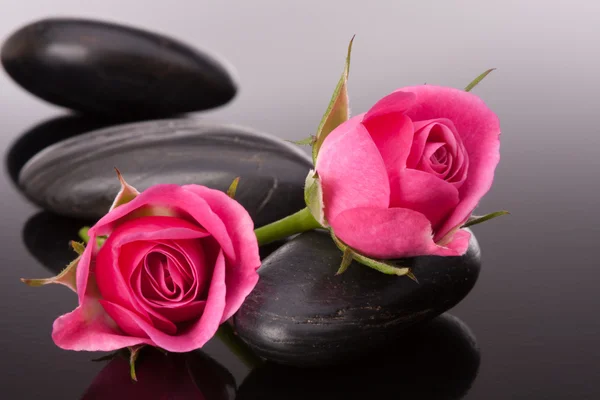Spa stone and rose flowers still life. Healthcare concept. Stock Picture