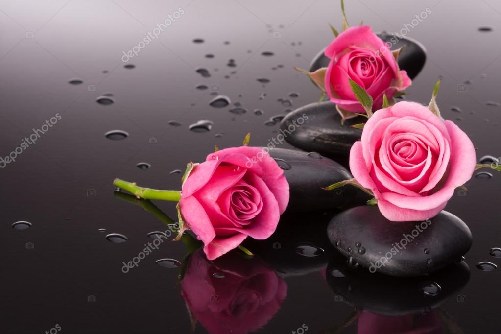 Bodegones de flores fotos de stock, imágenes de Bodegones de flores sin royalties | Depositphotos Bodegones de flores fotos de stock, imágenes de Bodegones de flores sin royalties | Depositphotos