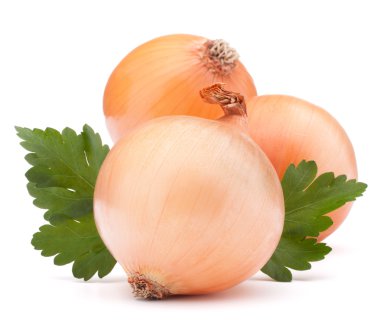 soğan sebze ampul ve maydanoz yaprakları natürmort