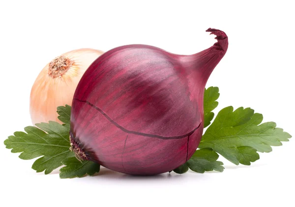 Onion vegetable bulb and parsley leaves still life — Stock Photo, Image