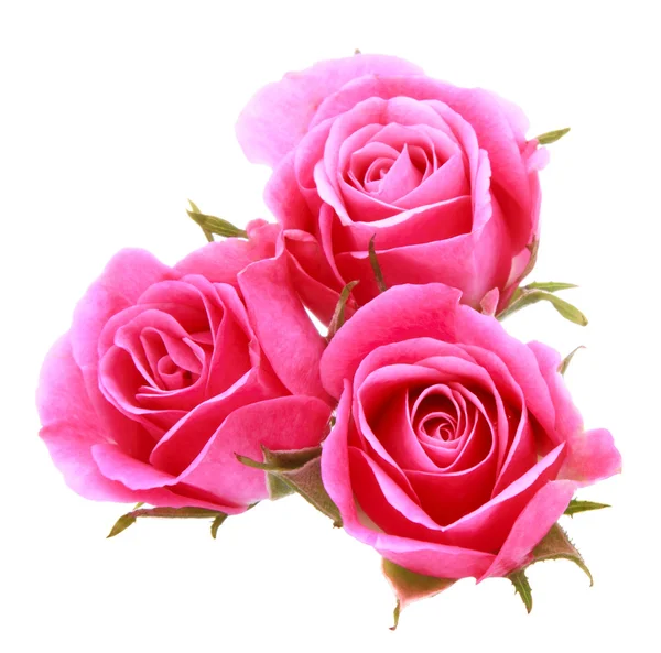 Ροζ ροδαλό λουλούδι μπουκέτο απομονώνονται σε λευκό φόντο διακοπής — Φωτογραφία Αρχείου