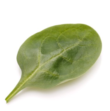 ıspanak sebze kesme