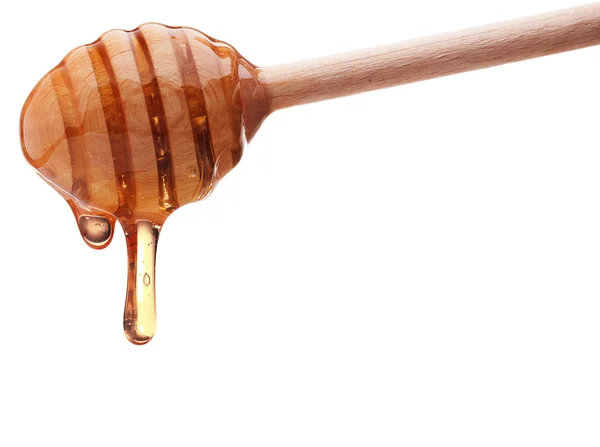 Madu menetes dari dipper madu kayu — Stok Foto