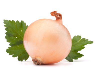 soğan sebze ampul ve maydanoz yaprakları natürmort