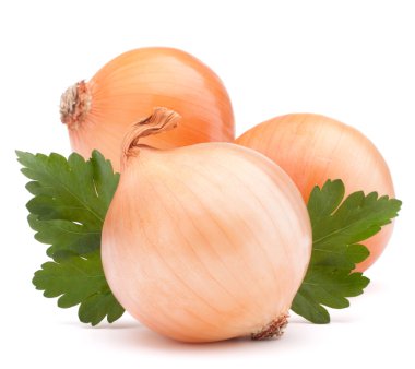 soğan sebze ampul ve maydanoz yaprakları natürmort